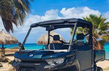 Explore On Your Own Offroad UTV 3 Seat