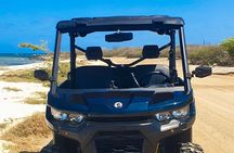 Explore On Your Own Offroad UTV 3 Seat