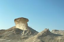 Private West Coast Tour: Richard Serra & Desert Wonders