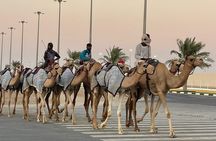 Private West Coast Tour: Richard Serra & Desert Wonders