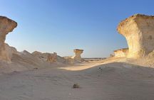 Private West Coast Tour: Richard Serra & Desert Wonders