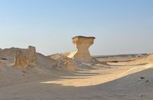 Private West Coast Tour: Richard Serra & Desert Wonders