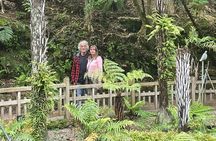 Best of Auckland Small Group Tour Top Attractions & Scenic Views