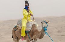 Marrakech Agafay Desert Sunset Camel Ride and Dinner Show