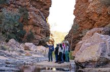 Half Day West MacDonnell Ranges Morning Tour: From Alice Springs