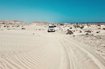 4×4 Adventure in the Dajla Desert – White Dune and Oasis Imlili