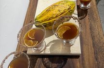 Medellin: Colombian Cacao Experience | Chocolate Tour | BOOK NOW!