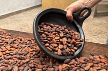 Colombian Cacao Experience in Medellin - LIMITED SPOTS AVAILABLE!