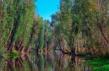 Frida Kahlo Xochimilco and University City