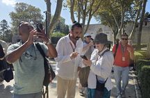 Old Town Istanbul “PRIVATE” guided tours 