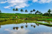 Lombok: Benang Stokel and Kelambu Waterfall Adventure Tour