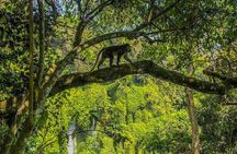 Lombok: Benang Stokel and Kelambu Waterfall Adventure Tour