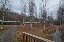 Heart of Fairbanks Tour Culture, Food, History and Fun