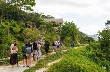 Phuket Ethical Elephant Sanctuary Guided Tour and Hotel Transfers