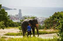 Phuket Ethical Elephant Sanctuary Guided Tour and Hotel Transfers