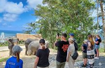 Phuket Highlight Tour Big Buddha Temple and Elephant Sanctuary