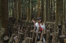 Oita: Shiitake Mushroom Farm Tour & Tasting