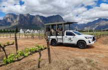 Franschhoek Wine Safari Tour