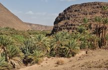 Nature Thrill Adventure Discover Draa Valley By Quad