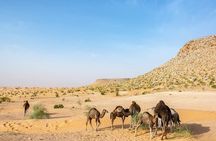 Private Full-Day 4x4 Excursion to Ksar Ghilane