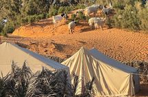 Ksar Ghilane Excursion with Overnight Tent 