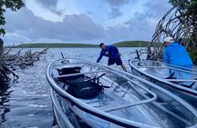 Clear Kayaks Bioluminescent Bay Tours in Vieques PR