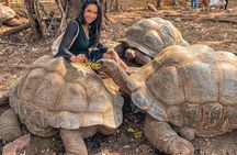 Zanzibar Stone Town and Prison Island Tour with Local Guide