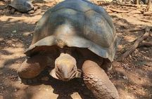 Zanzibar Stone Town and Prison Island Tour with Local Guide