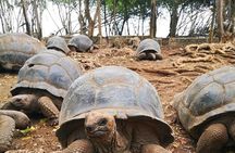 Zanzibar Stone Town and Prison Island Tour with Local Guide