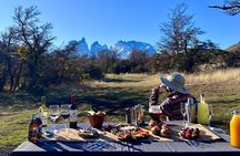 Private Tour Torres del Paine Experience