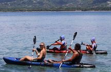 Puerto Viejo Beach Ocean Kayaking & Snorkeling Private Tour