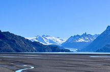 Private Tour Torres del Paine Experience