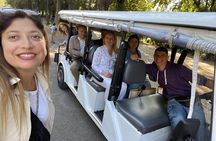  Top Ten Rome Major Attractions Private Tour by Golf Cart