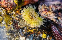 Private Tours for ease, comfort, flexibility, and relaxed pace!