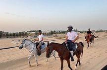 Desert and Beach Horse Ride Guided Adventure