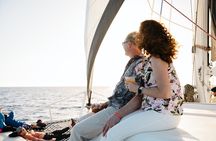 Paragon Lahaina Performance Sail