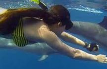 Zanzibar : MNEMBA ISLAND SNORKELING ,DOLPHIN TOUR & LUNCH 