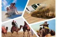 Doha: Half Day Desert Safari with Camel Ride and Inland Sea Tour