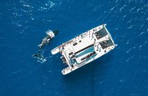 Golden Hour Whale Watch from Lahaina