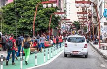 Santos Private Shore Excursion: Sao Paulo Full Day City Experience 