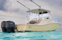 Private Boat Tours: Customize Your Grand Cayman Adventure!