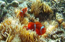 Lombok Gili Islands Tour and Snorkeling Adventure