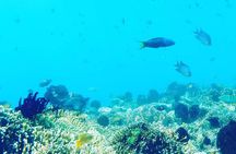 Lombok Gili Islands Tour and Snorkeling Adventure