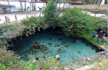 Turtles at Salam cave,Jozani forest and Paje beach.