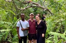 Turtles at Salam cave,Jozani forest and Paje beach.