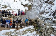 Snow Monkey Park & Zenkoji Private Tour (Customizable)