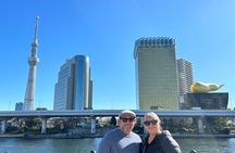 Tokyo Private Tour: One Day Highlights and Optional Shibuya Sky
