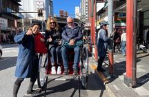 Tokyo Private Tour: One Day Highlights and Optional Shibuya Sky