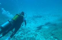 Half Day Dive Trip for Certified Divers