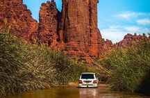 Wadi Al Disah Canyon Experience Scenic Day Tour from Tabuk